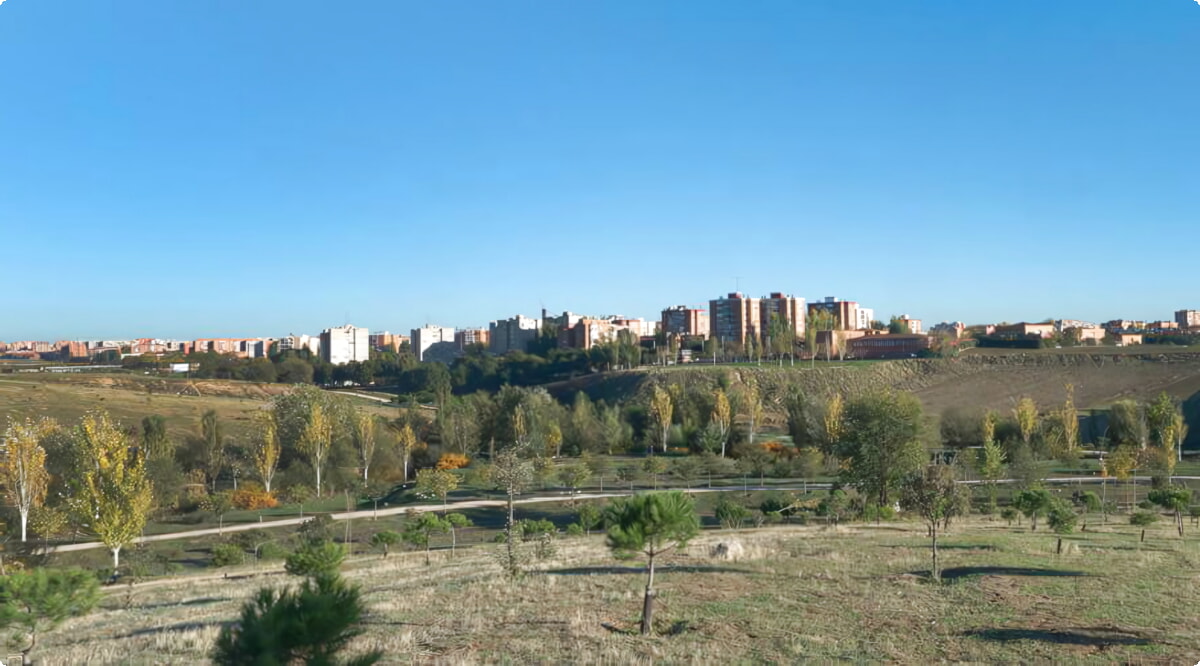 ¿Cuáles son las opciones de vehículos más populares en Fuenlabrada?